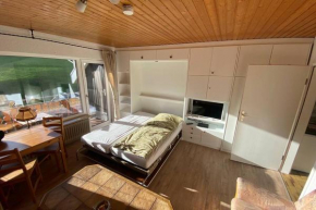 Haus am Sonnenberg,Todtnauberg, Ferienwohnung 205, direkt am Skilift-Skipiste, Nähe Feldberg